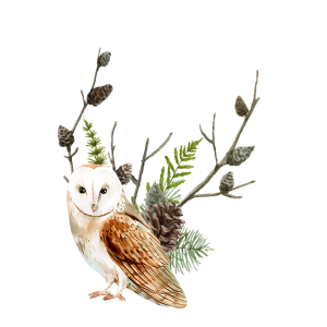 Calendar Management