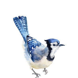 Client Communication