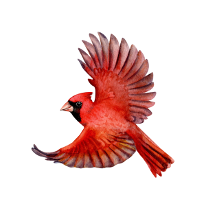 Research