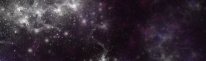 website4