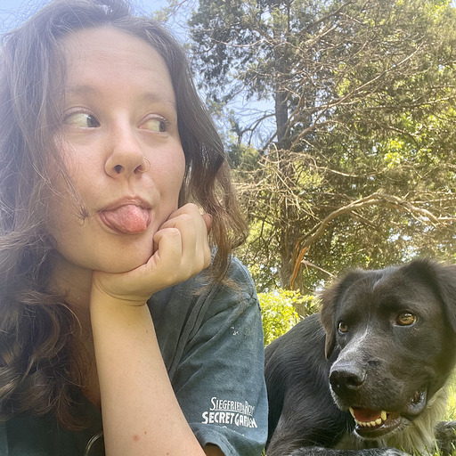 TM3N3QH6D-U0A210R0CMC-02bd0f76963a-512